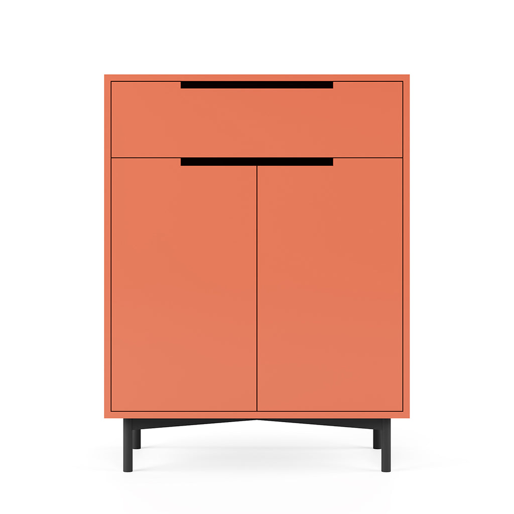 Wardy Shoe Cabinet
