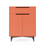 Wardy Shoe Cabinet