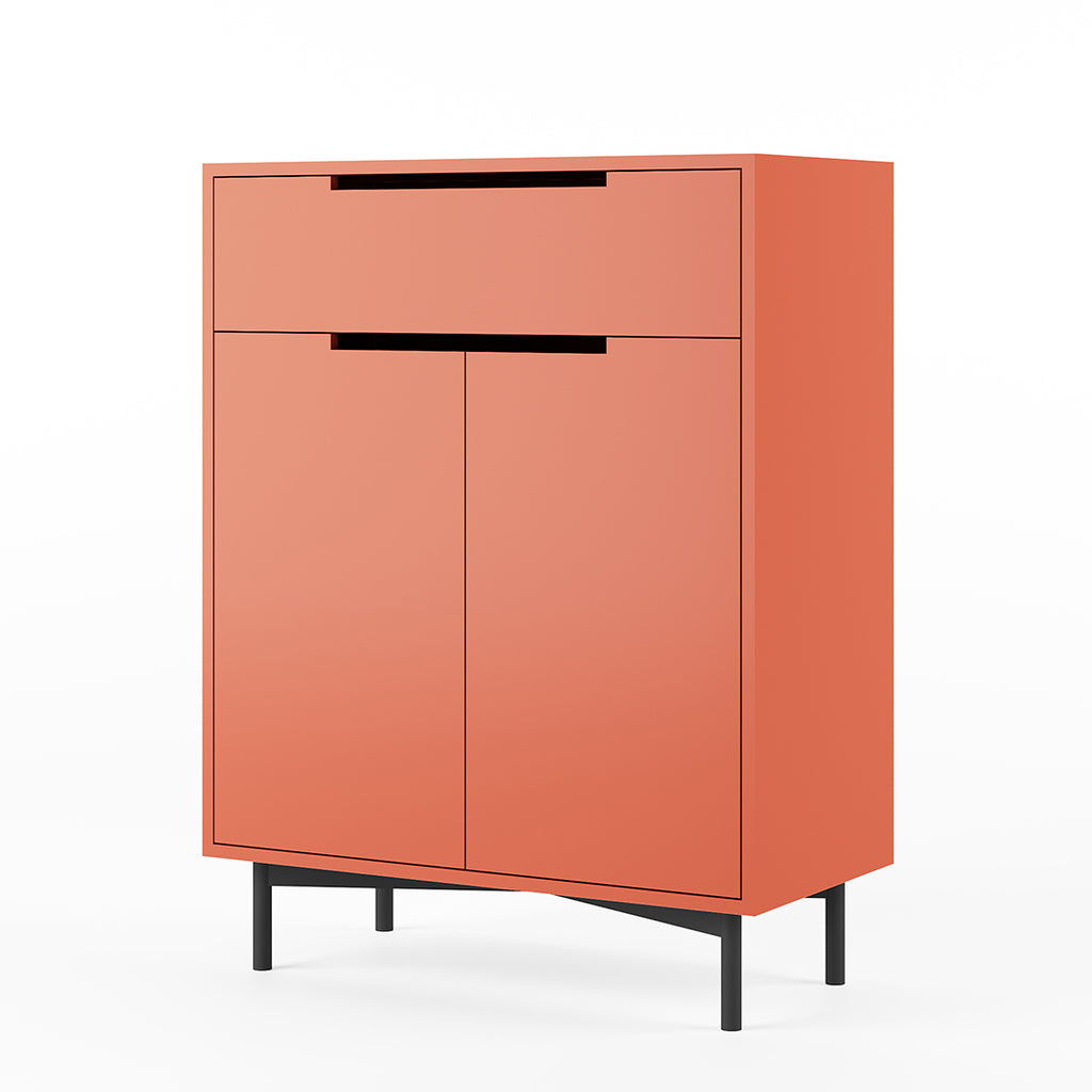 Wardy Shoe Cabinet