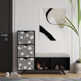 Brown Shoes Cabinet