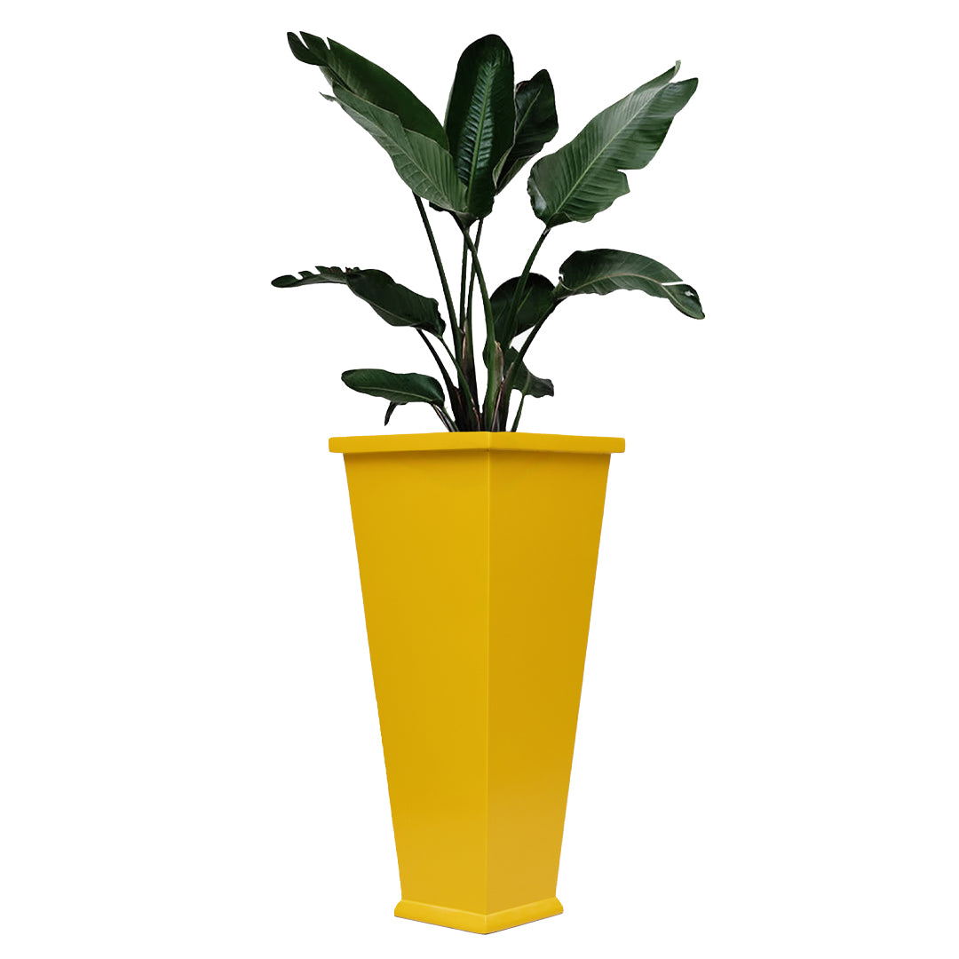 Impianti Plants Unit - Yellow