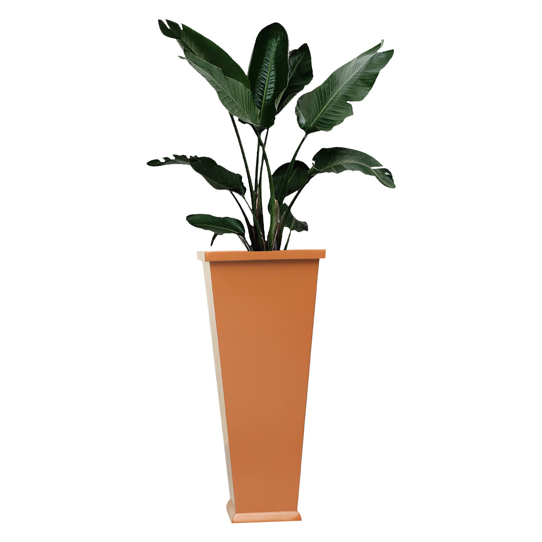 Impianti Plants Unit - Orange