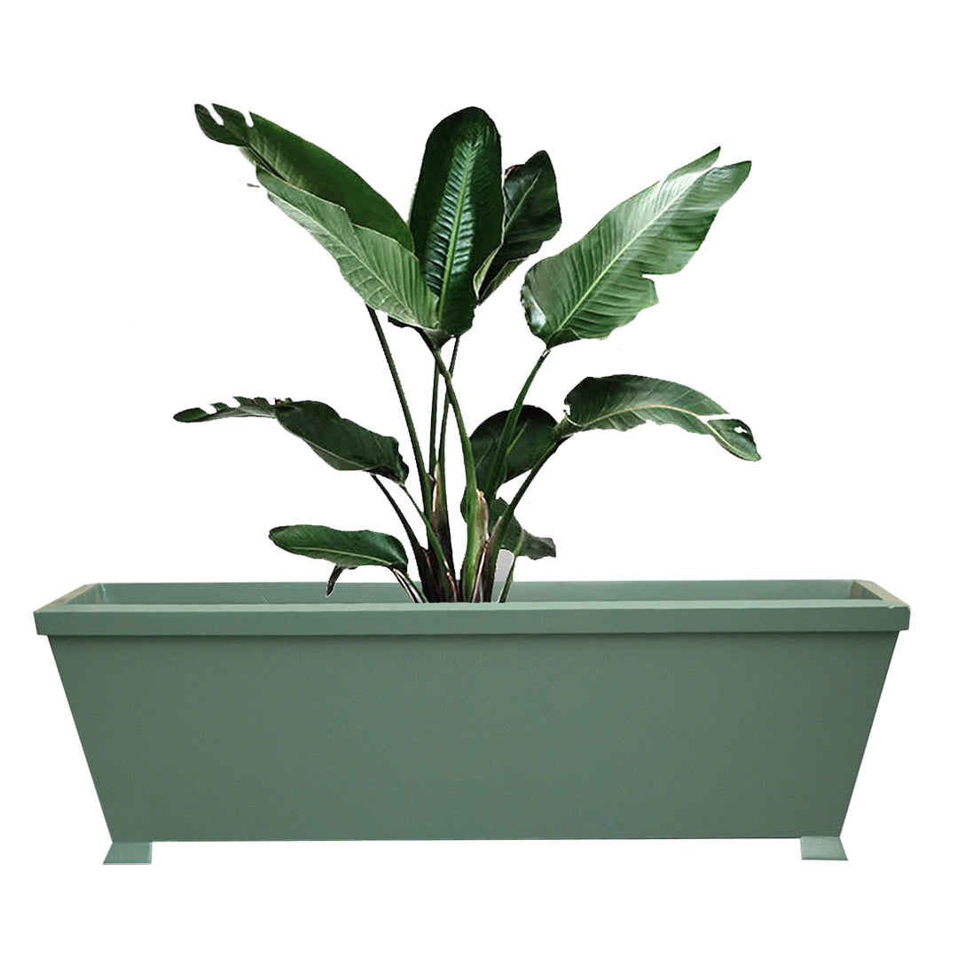 Plantas Plants Unit - Green