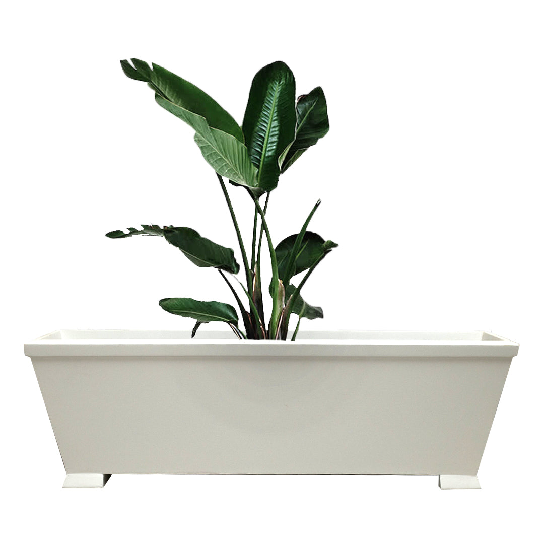 Plantas Plants Unit - White