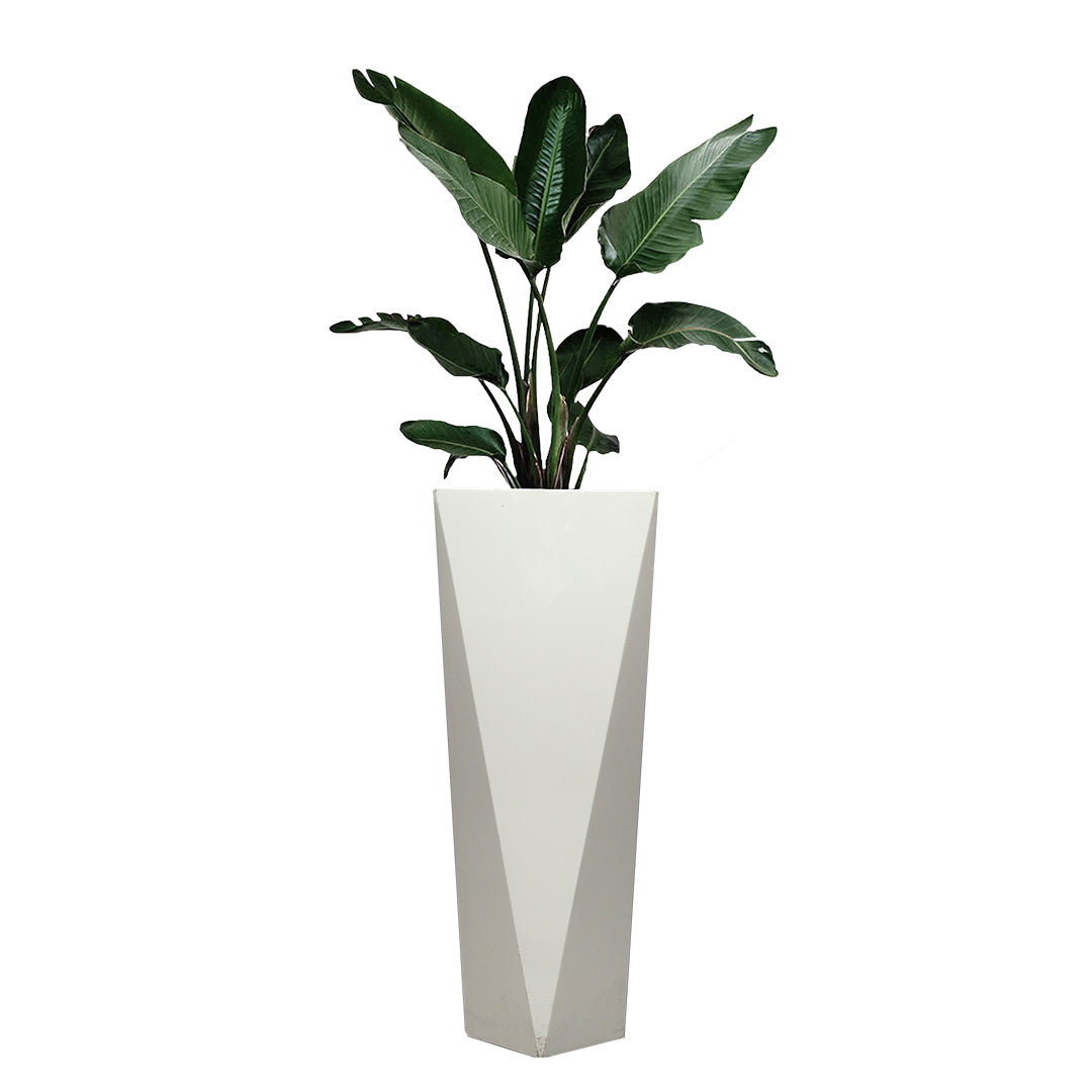 Rosliny Plants Unit - White