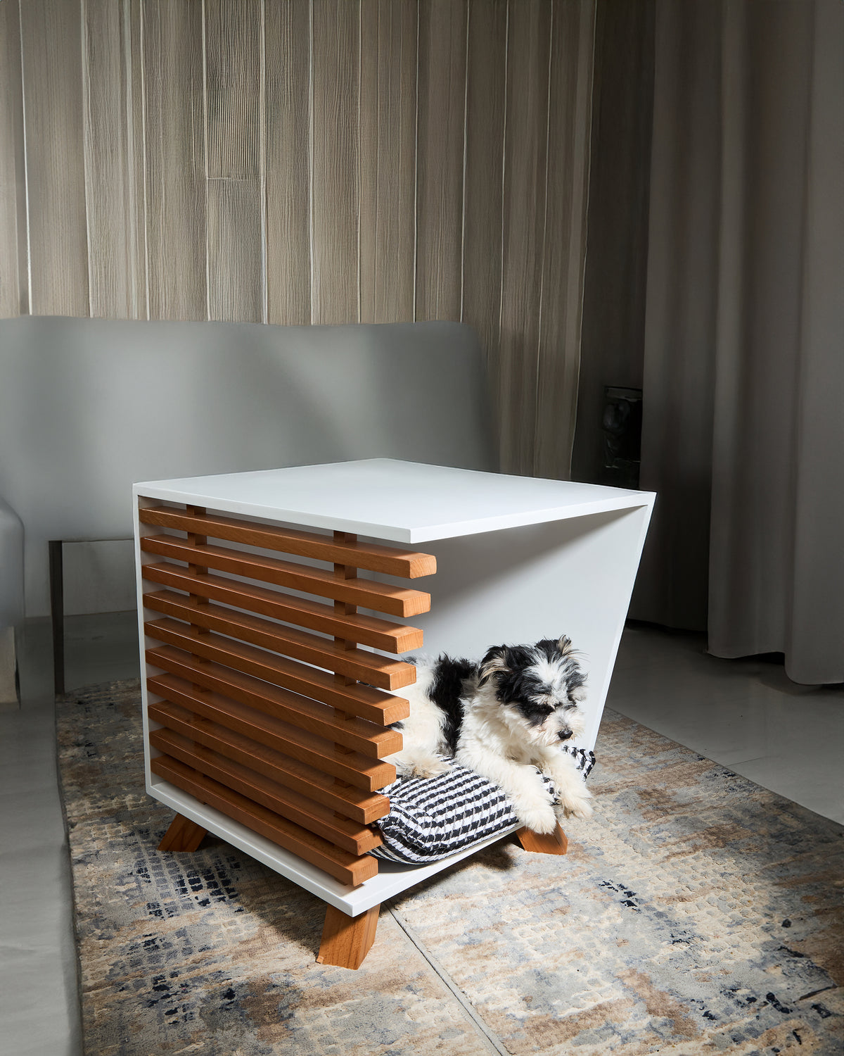 Dog House TETE