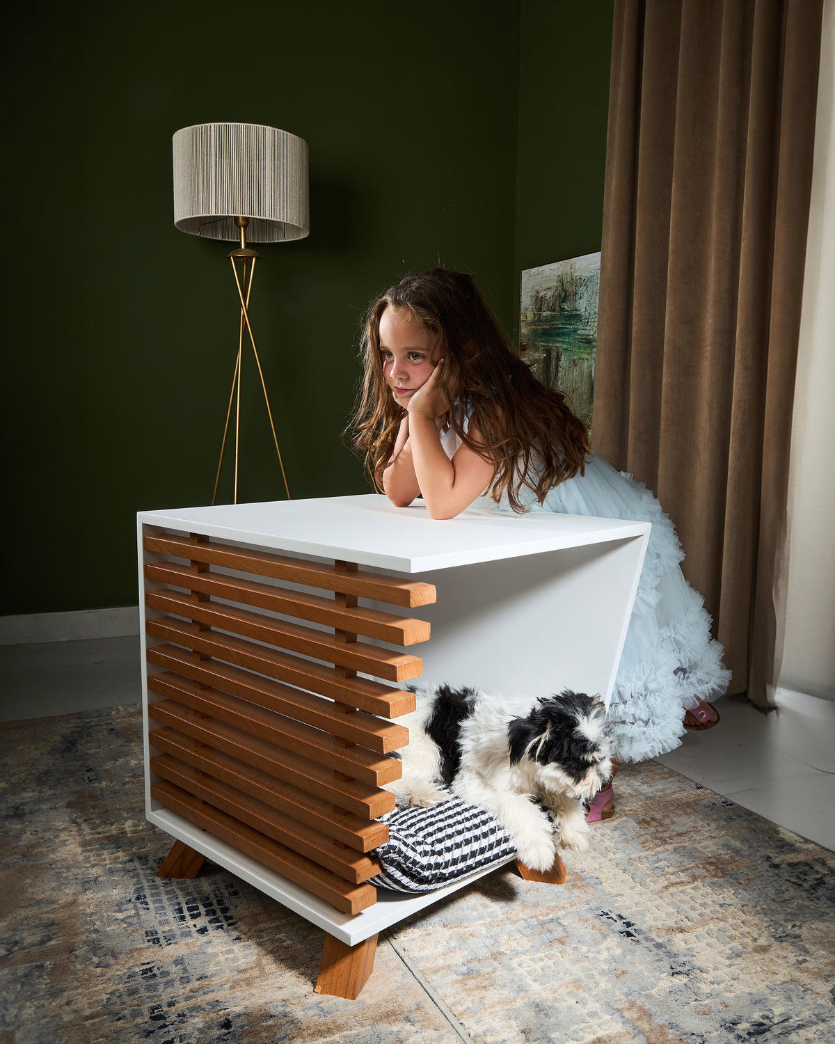 Dog House TETE