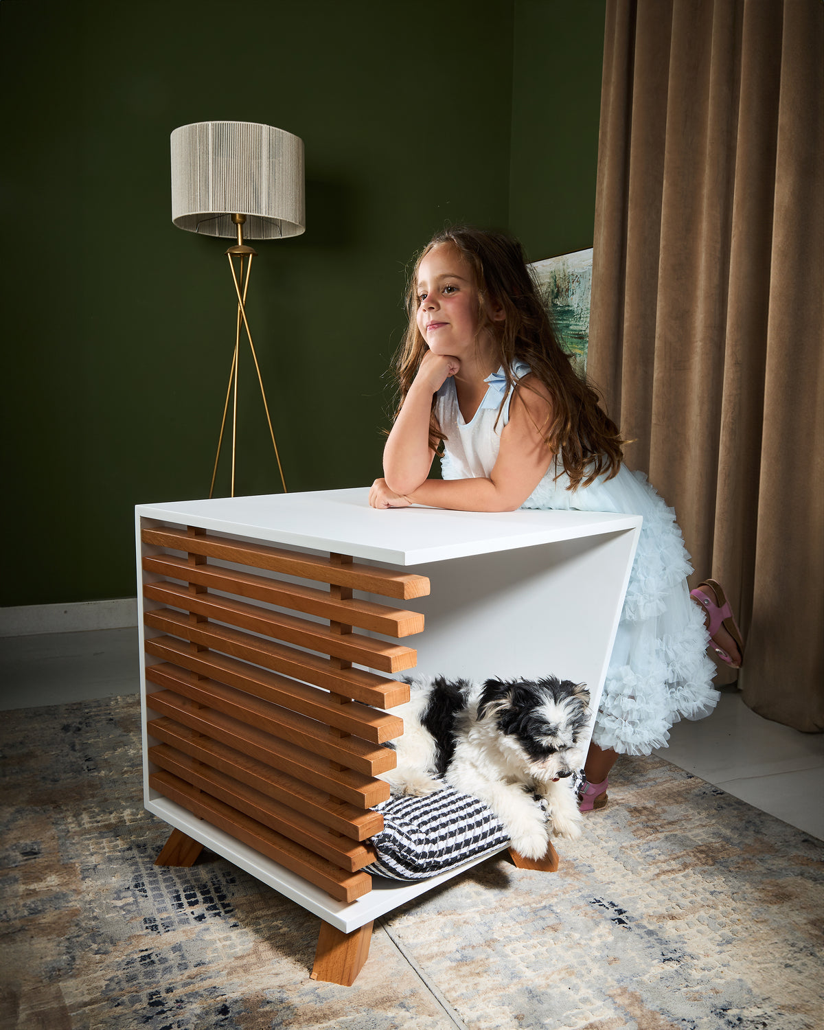 Dog House TETE