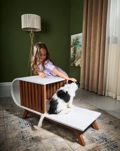 Dog House Rocky