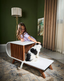 Dog House Rocky
