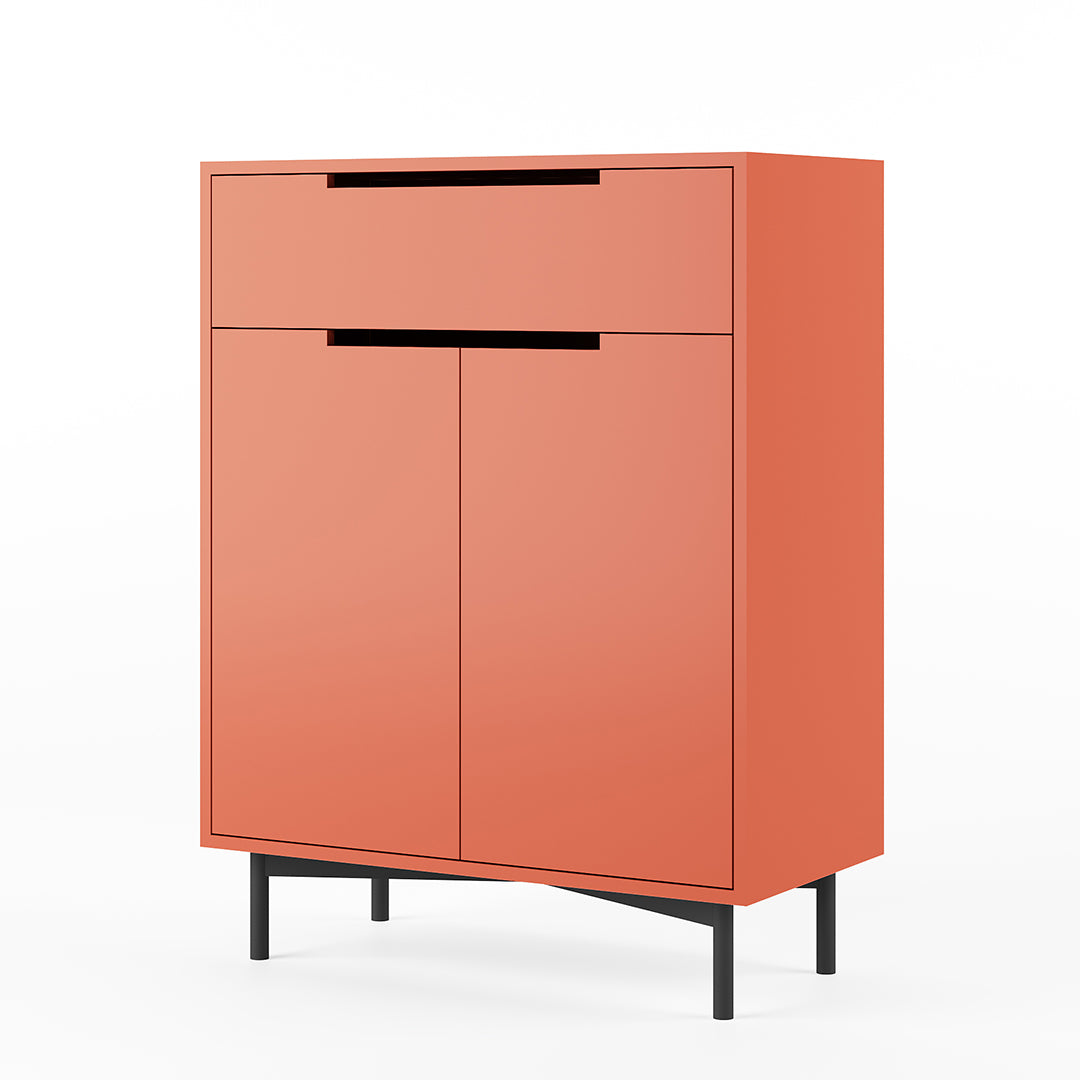 Wardy Shoe Cabinet
